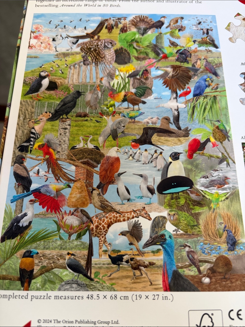 Around the World in 50 Birds Jigsaw Puzzle by - Ryuto Miyake - Picture 3 of 5